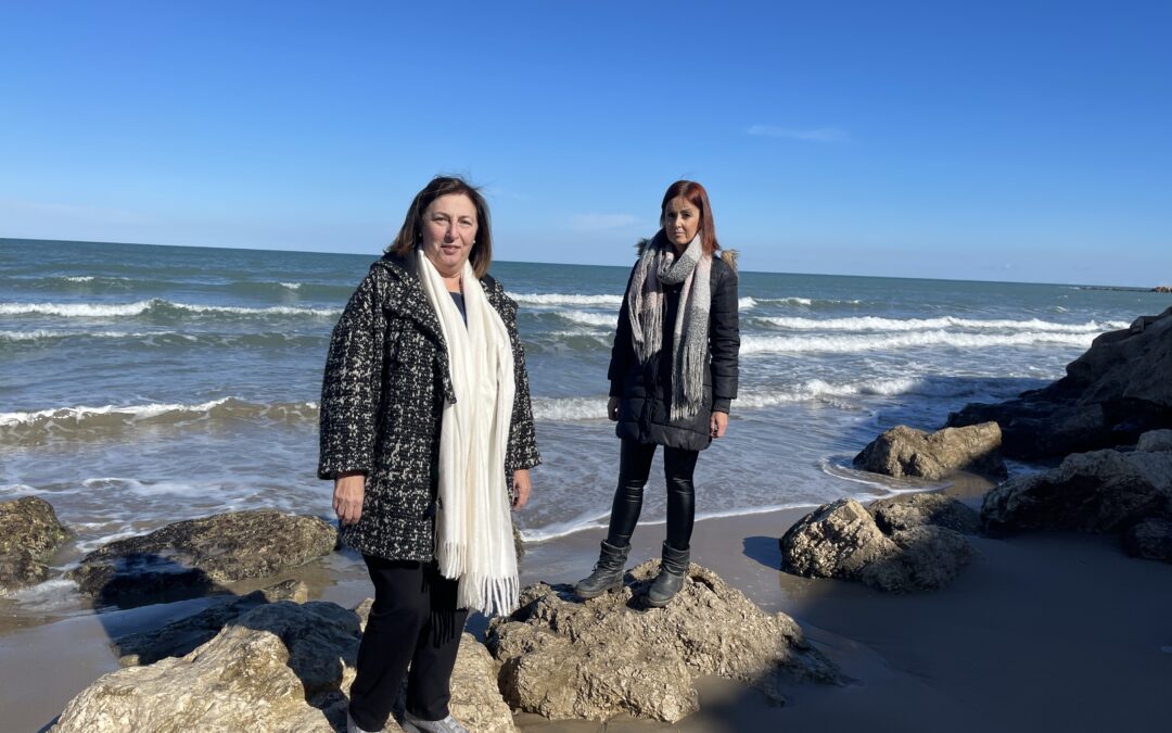 El PP aboga por la recuperación y la protección de las playas de Dénia